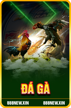 Đá Gà 888new